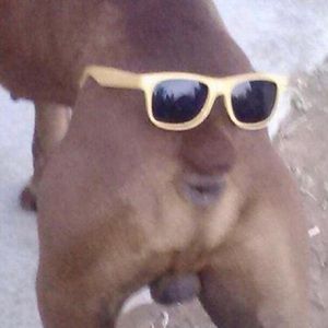 Meet your Posher, Jack